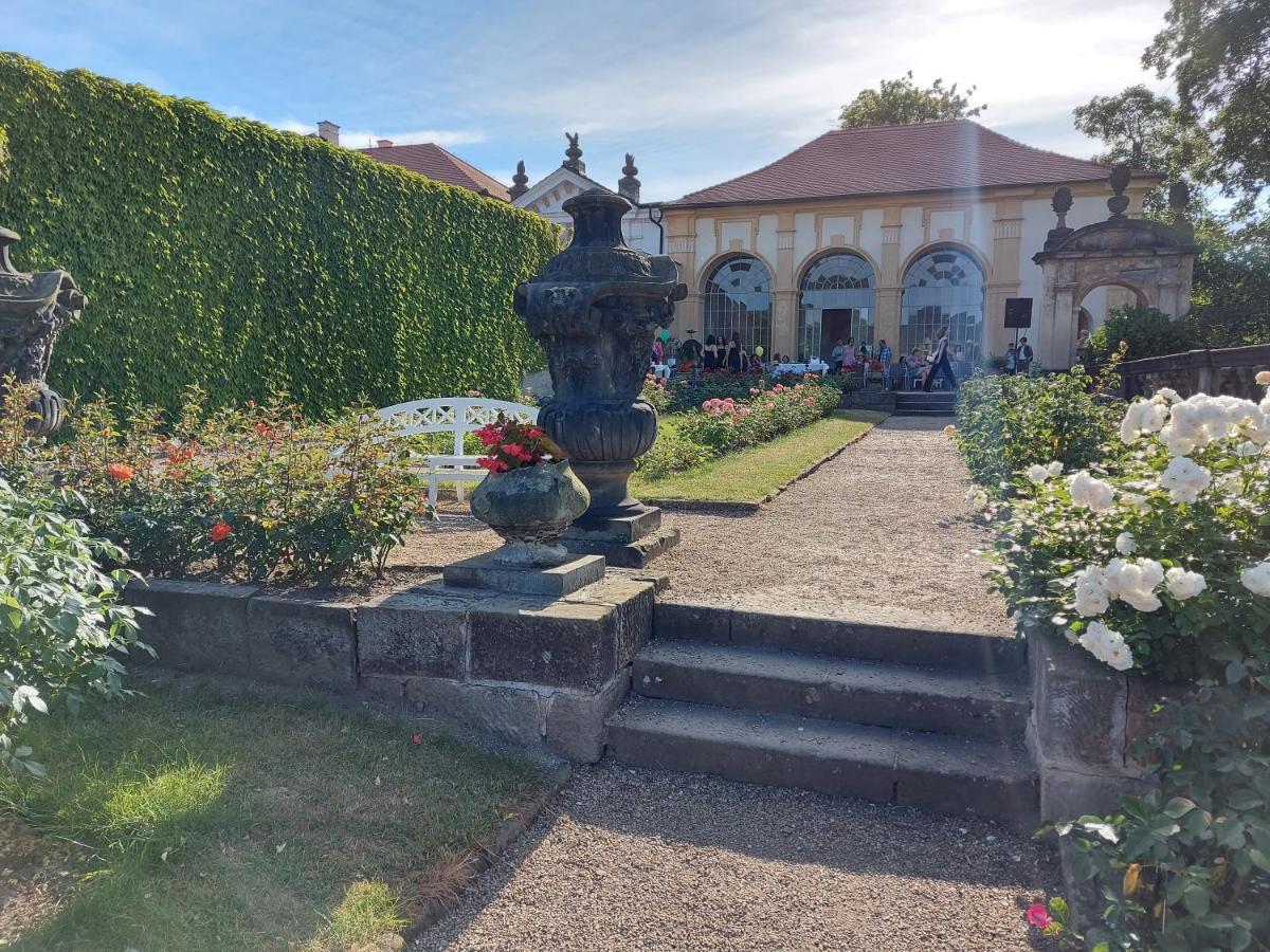 Apartments Rose Garden Decin Exteriér fotografie